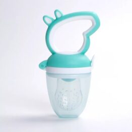 Baby fruit pacifier- baby mint Peppa